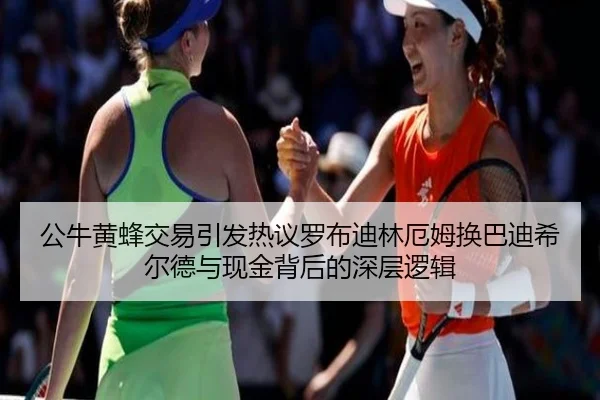 公牛黄蜂交易引发热议罗布迪林厄姆换巴迪希尔德与现金背后的深层逻辑